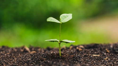 에 대한 최신 회사 뉴스 오스트레일리아 경고: 유독성 유해물 유해물 유해물