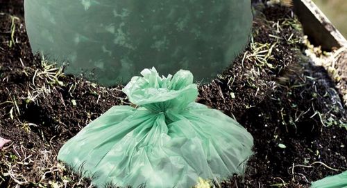 에 대한 최신 회사 뉴스 콤포스타블 플라스틱 봉지 는 생물 분해 가 가능 합니까?